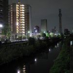 亀戸から夜の東京スカイツリー